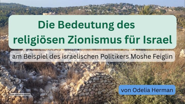 Screenshot aus dem dazugehörigen Video