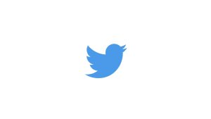 Twitter Logo klein