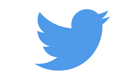 Twitter Logo Lang